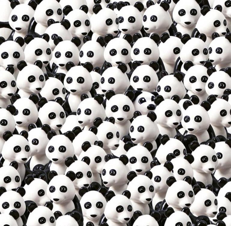 New Lego challenge: Can you find a dog among pandas?(1/1)