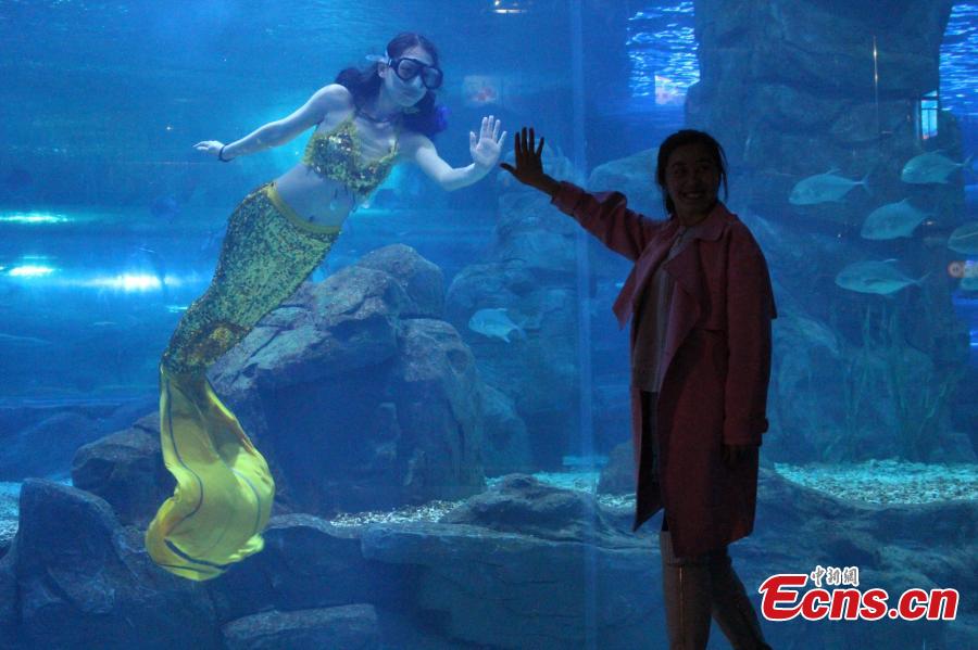Mermaid performer entertains audiences(1/7)