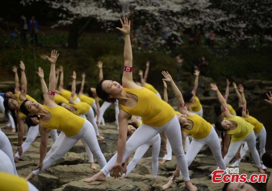 Practicers perform yoga at a botanical garden in Changsha City, the capital of Central China’s Hunan Province, March 15, 2016. Some 100 yoga enthusiasts attended the event to promote a healthy lifestyle as the garden’s cherry blossoms are in full bloom. (Photo: China News Service/Yang Huafeng)