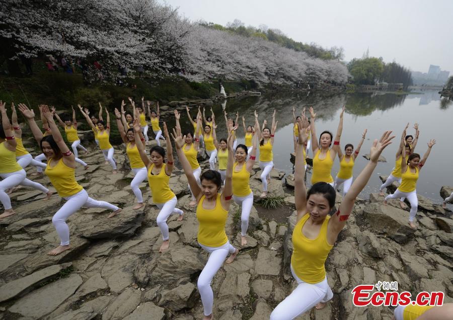 Practicers perform yoga at a botanical garden in Changsha City, the capital of Central China’s Hunan Province, March 15, 2016. Some 100 yoga enthusiasts attended the event to promote a healthy lifestyle as the garden’s cherry blossoms are in full bloom. (Photo: China News Service/Yang Huafeng)