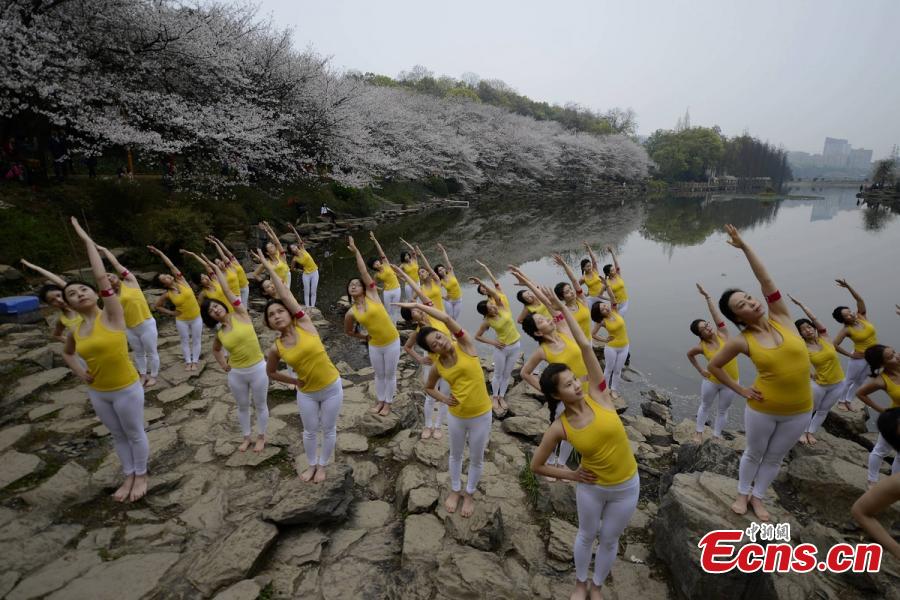 Practicers perform yoga at a botanical garden in Changsha City, the capital of Central China’s Hunan Province, March 15, 2016. Some 100 yoga enthusiasts attended the event to promote a healthy lifestyle as the garden’s cherry blossoms are in full bloom. (Photo: China News Service/Yang Huafeng)