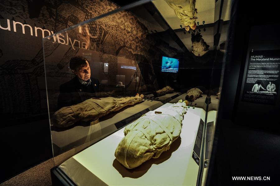 Preview of 'Mummies of the World: The Exhibition' held in U.S.(1/5)