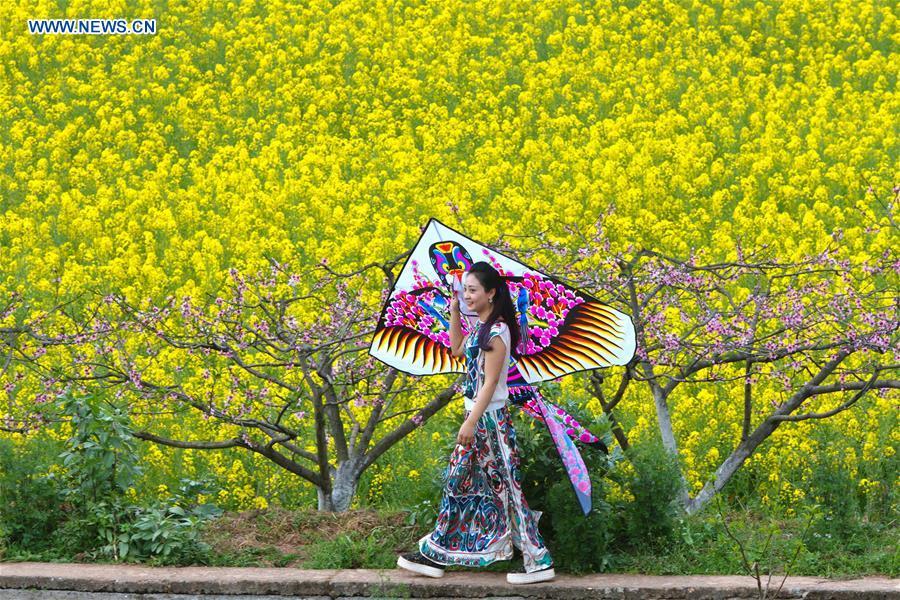 Peach blossom field attracts visitors in SW China(1/5)