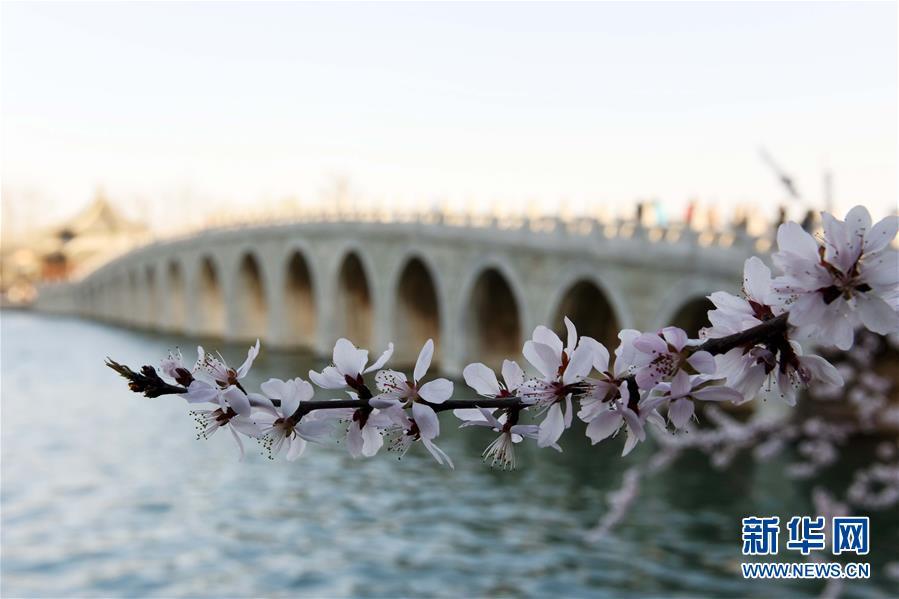 Spring scenery of Summer Palace in Beijing(1/5)
