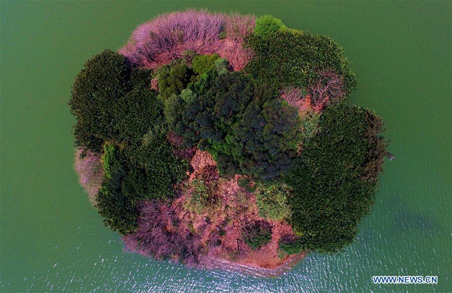 Aerial view of island in Xihu Park in Fujian(1/2)