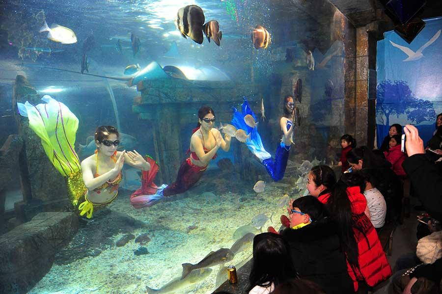 When fantasy comes to life(1/3)