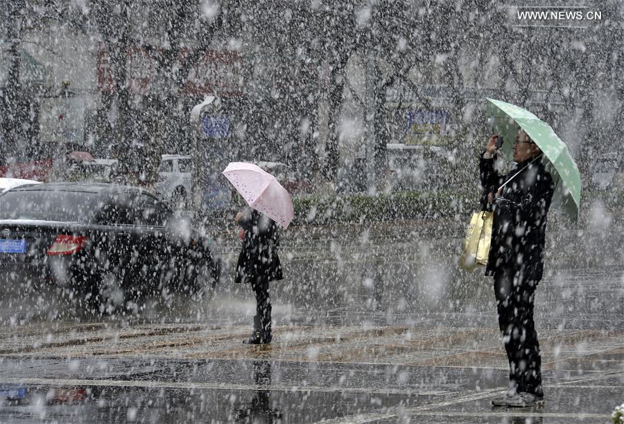 Snowfall hits Yinchuan, causing inconvenience(1/4)