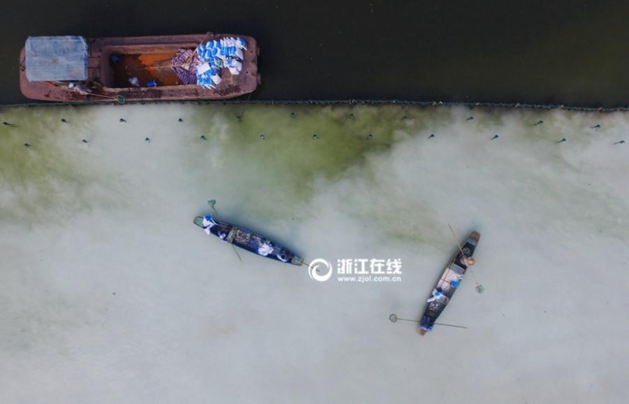 Workers 'bleach' West Lake in Hangzhou(1/9)