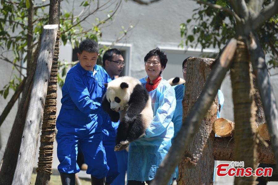 Hong Kong-aided panda base opens in Wolong(1/5)