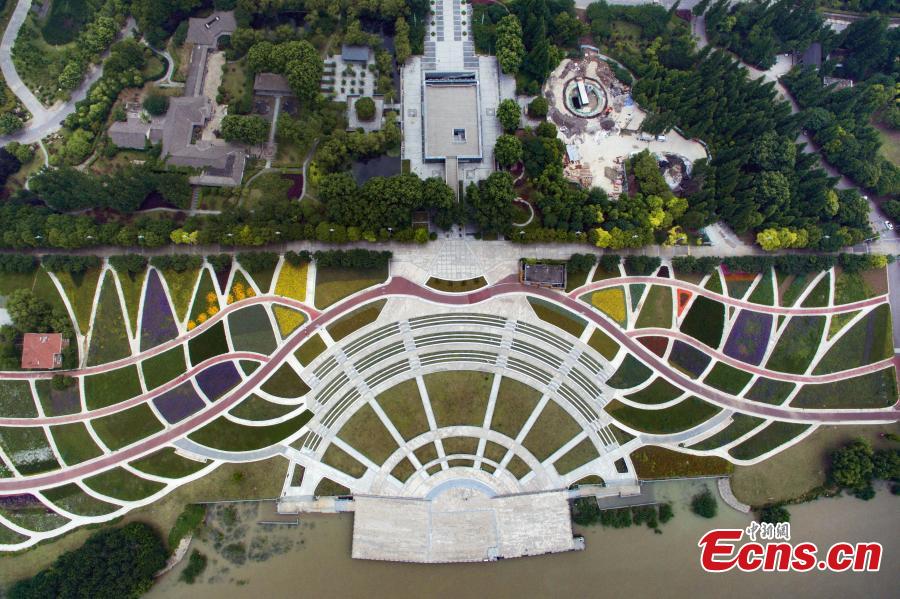 Flowers resemble artist's palette from above(1/6)