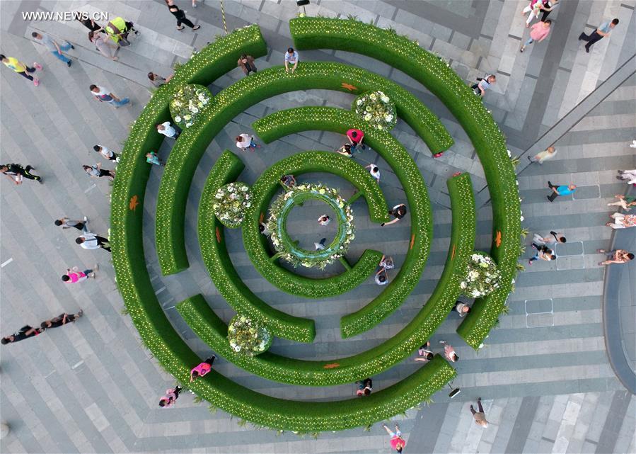 Garden maze built in downtown Shenyang(1/4)