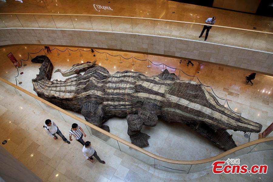 21-meter-long crocodile heralds animal protection campaign(1/4)