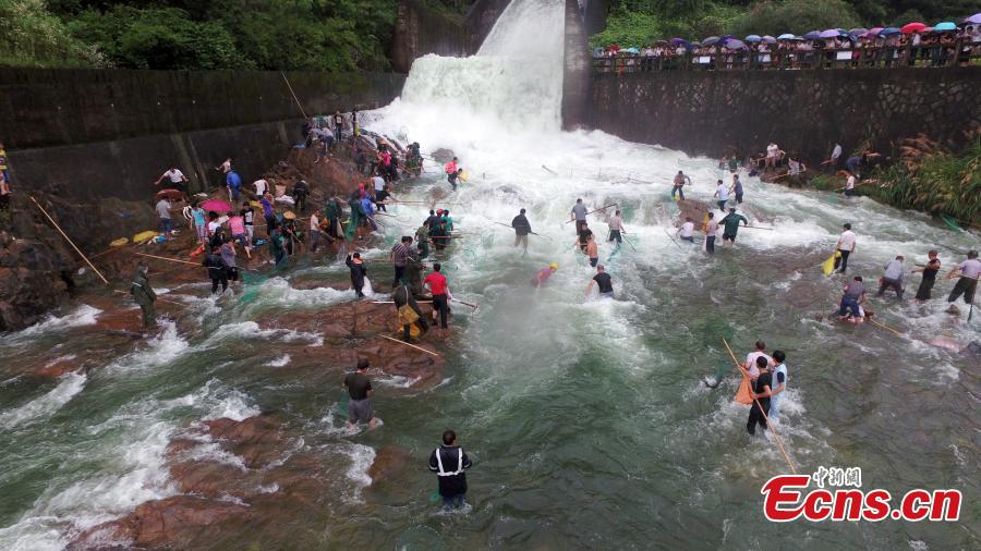 Some favor catching fish over safety(1/4)