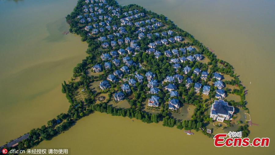 Villas cut off by floodwater in Wuhan(1/3)
