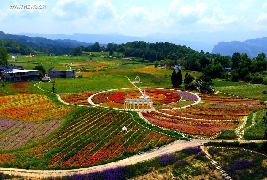 Tourists view flowers in central China's village(1/5)