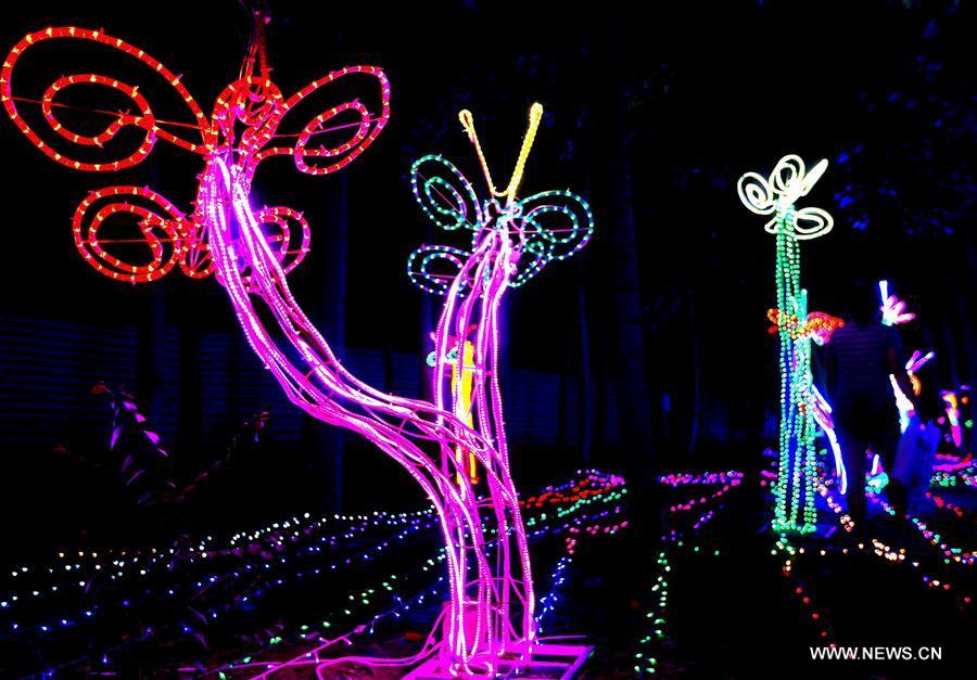LED light festival held in Shandong(2/5)