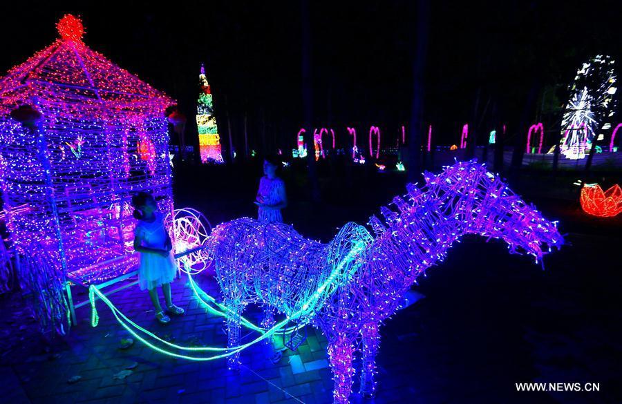 LED light festival held in Shandong(4/5)
