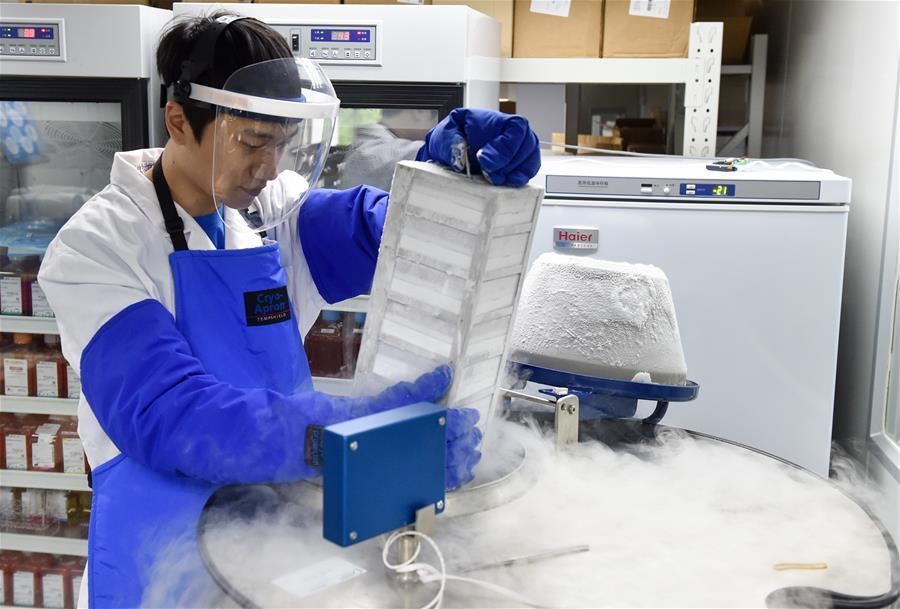 Zheng Dongmin, a researcher with the China National GeneBank, stores a sample in a container with liquid nitrogen in Shenzhen City, South China’s Guangdong Province, Aug. 10, 2016. As China\'s first national gene bank, it is outfitted with dozens of refrigerators to store samples, as well as 150 domestically developed desktop gene sequencing machines. The gene bank hopes to boost the genetics industry and safeguard China\'s genetic information. (Photo/Xinhua)