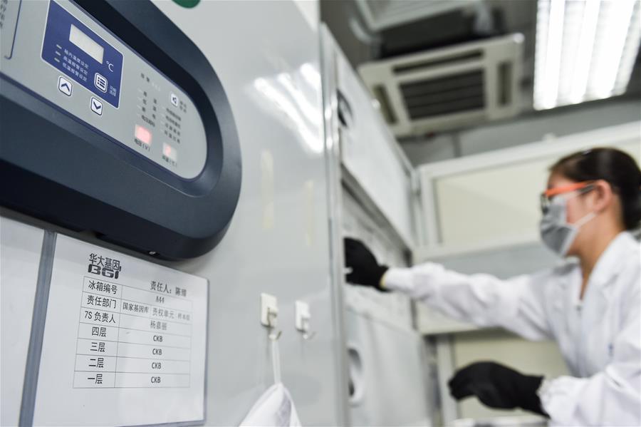 A researcher works at the China National GeneBank in Shenzhen City, South China’s Guangdong Province, Sept. 20, 2016. As China\'s first national gene bank, it is outfitted with dozens of refrigerators to store samples, as well as 150 domestically developed desktop gene sequencing machines. The gene bank hopes to boost the genetics industry and safeguard China\'s genetic information. (Photo/Xinhua)
