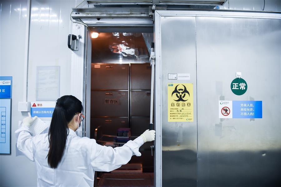 A researcher works at the China National GeneBank in Shenzhen City, South China’s Guangdong Province, Sept. 20, 2016. As China\'s first national gene bank, it is outfitted with dozens of refrigerators to store samples, as well as 150 domestically developed desktop gene sequencing machines. The gene bank hopes to boost the genetics industry and safeguard China\'s genetic information. (Photo/Xinhua)
