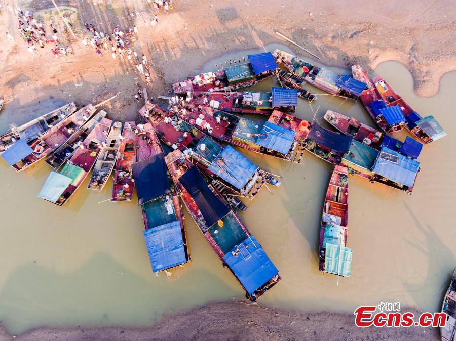 Poyang Lake affected by falling water supply(1/6)