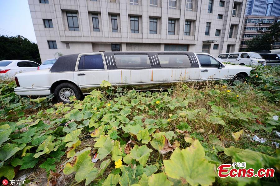 Lincoln stretch-limo abandoned in East China city(1/4)
