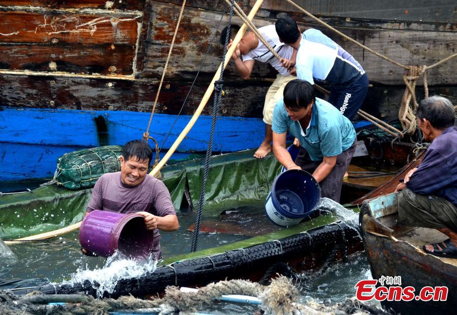 Typhoon Sarika sinks ship in Guangxi (1/5)