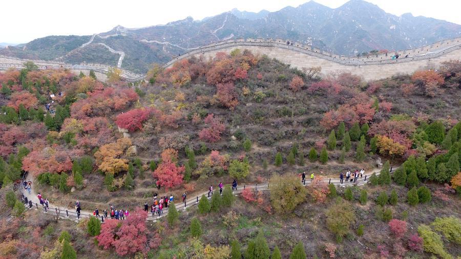 Visitors view the colorful leaves at the Badaling section of the Great Wall of China just north to Beijing, on Oct 23, 2016. (Photo/Xinhua)
