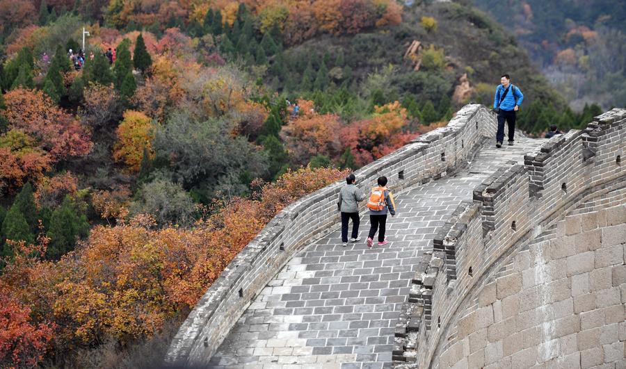 Visitors view the colorful leaves at the Badaling section of the Great Wall of China just north to Beijing, on Oct 23, 2016. (Photo/Xinhua)