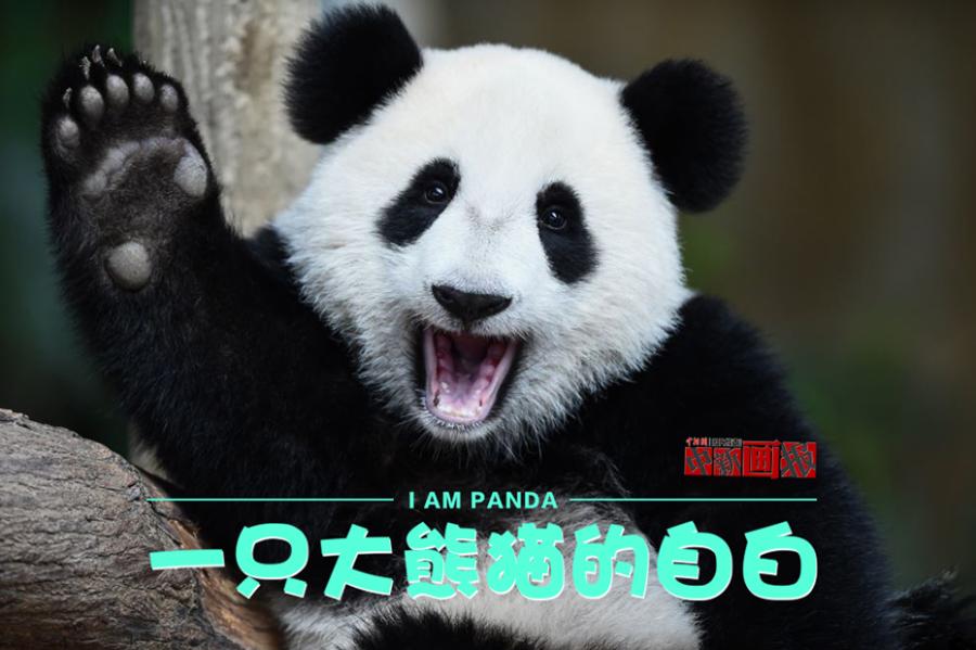 I am panda -growth diary of the black-and-white bear(1/15)