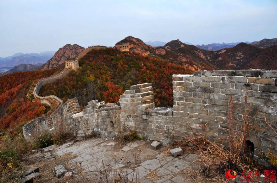 The well-preserved Zhuizishan section of the Great Wall, often regarded as the most beautiful Great Wall segment in all of Liaoning Province, is famous for its steep incline. Having escaped renovation in modern times, the section still presents its original look to tourists. Built during the Ming Dynasty (1368-1644), Zhuizishan stretches over 20,000 meters. Walking along Zhuizishan is like walking on a rugged mountain road. Numerous beacon towers are situated in the ups and downs of Yanshan Mountain, which makes the view even more spectacular. (Photo/people.cn)