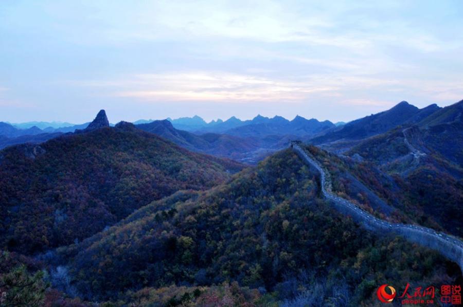 The well-preserved Zhuizishan section of the Great Wall, often regarded as the most beautiful Great Wall segment in all of Liaoning Province, is famous for its steep incline. Having escaped renovation in modern times, the section still presents its original look to tourists. Built during the Ming Dynasty (1368-1644), Zhuizishan stretches over 20,000 meters. Walking along Zhuizishan is like walking on a rugged mountain road. Numerous beacon towers are situated in the ups and downs of Yanshan Mountain, which makes the view even more spectacular. (Photo/people.cn)