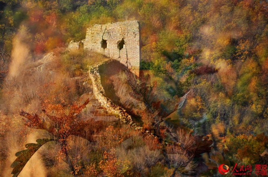 The well-preserved Zhuizishan section of the Great Wall, often regarded as the most beautiful Great Wall segment in all of Liaoning Province, is famous for its steep incline. Having escaped renovation in modern times, the section still presents its original look to tourists. Built during the Ming Dynasty (1368-1644), Zhuizishan stretches over 20,000 meters. Walking along Zhuizishan is like walking on a rugged mountain road. Numerous beacon towers are situated in the ups and downs of Yanshan Mountain, which makes the view even more spectacular. (Photo/people.cn)