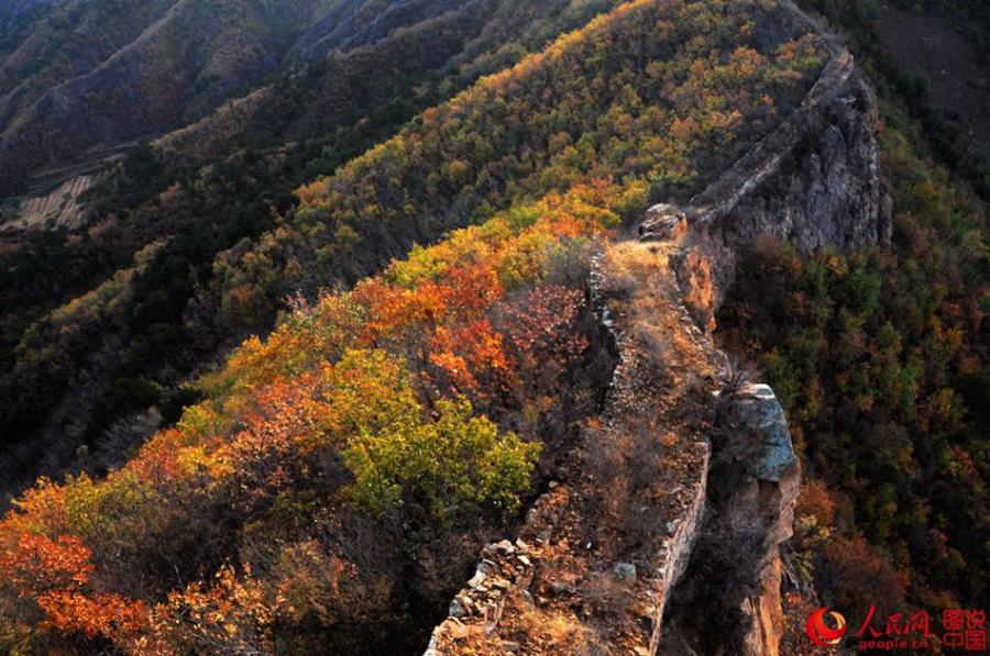 The well-preserved Zhuizishan section of the Great Wall, often regarded as the most beautiful Great Wall segment in all of Liaoning Province, is famous for its steep incline. Having escaped renovation in modern times, the section still presents its original look to tourists. Built during the Ming Dynasty (1368-1644), Zhuizishan stretches over 20,000 meters. Walking along Zhuizishan is like walking on a rugged mountain road. Numerous beacon towers are situated in the ups and downs of Yanshan Mountain, which makes the view even more spectacular. (Photo/people.cn)