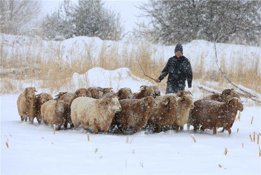 Snow storm hits Xinjiang(1/6)