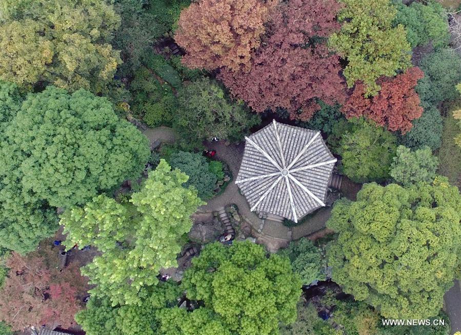 Aerial view of Humble Administrators Garden in Jiangsu(1/5)
