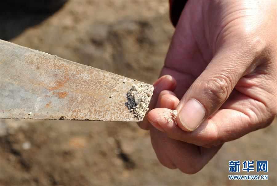 Ancient salt-boiling sites excavated in Hebei(1/2)