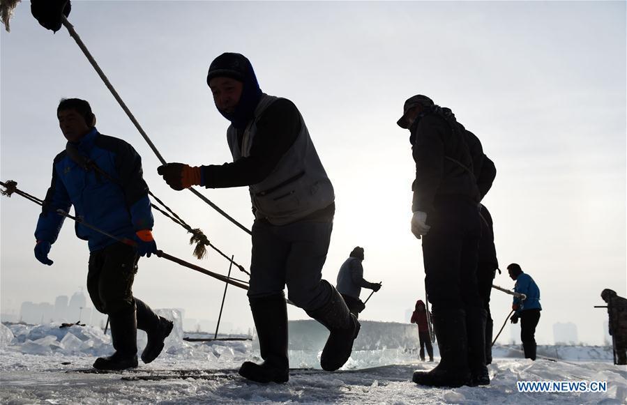 People carry collected ice on the frozen Songhuajiang River in Harbin, capital of northeast China\'s Heilongjiang Province, Dec. 5, 2016. (Photo/Xinhua)