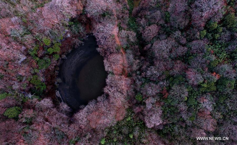 Gift from earth: Giant karst sinkholes found in NW China(1/12)