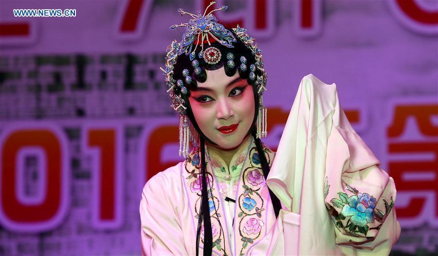 7th China Festival in Nepal held in Kathmandu (1/2)