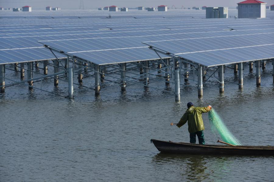 A fisherman is netting fish near a solar power project under construction in Cixi city, East China\'s Zhejiang province, Sept 24, 2016. (Photo/Xinhua)