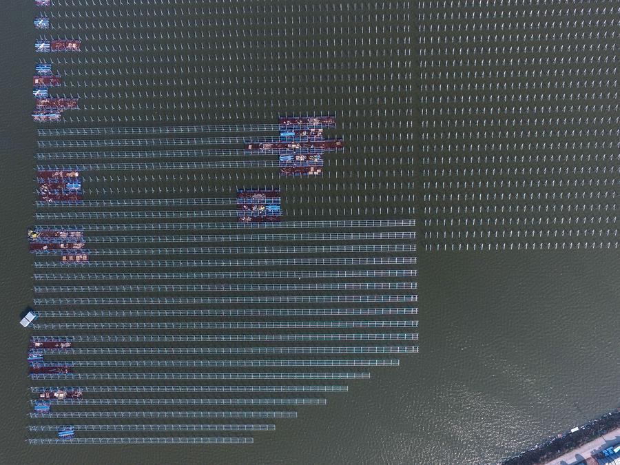 Aerial photo taken on Dec 24, 2016 shows a solar power project under construction in Cixi city, East China\'s Zhejiang province. The project, with solar panels installed above the fishery water, is expected to generate 220 million kwh of electricity per year.(Photo/Xinhua)