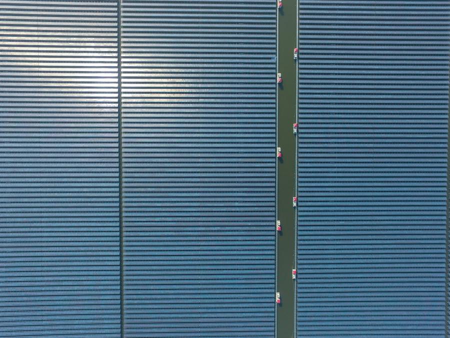 Aerial photo taken on Dec 24, 2016 shows a solar power project under construction in Cixi city, East China\'s Zhejiang province. The project, with solar panels installed above the fishery water, is expected to generate 220 million kwh of electricity per year.(Photo/Xinhua)