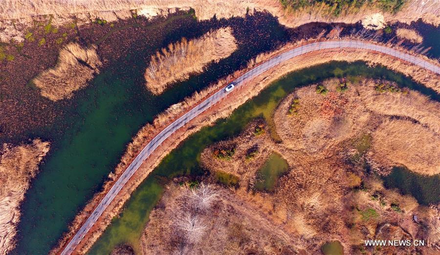 Scenery of canal wetland park in E China's city (1/7)