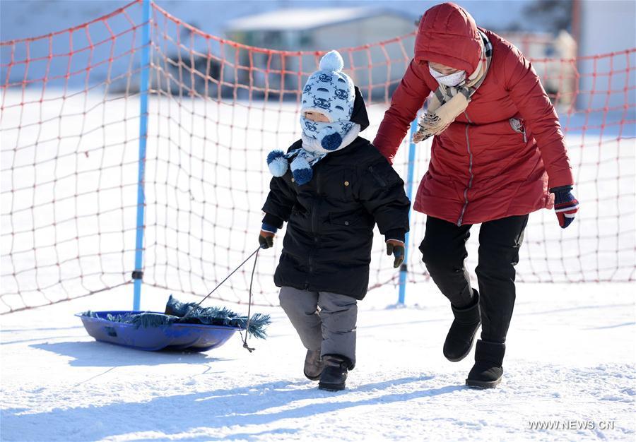Kids have fun with winter sports in NE China (1/6)