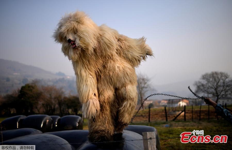 La Vijanera: Spain's first carnival of the year(1/5)