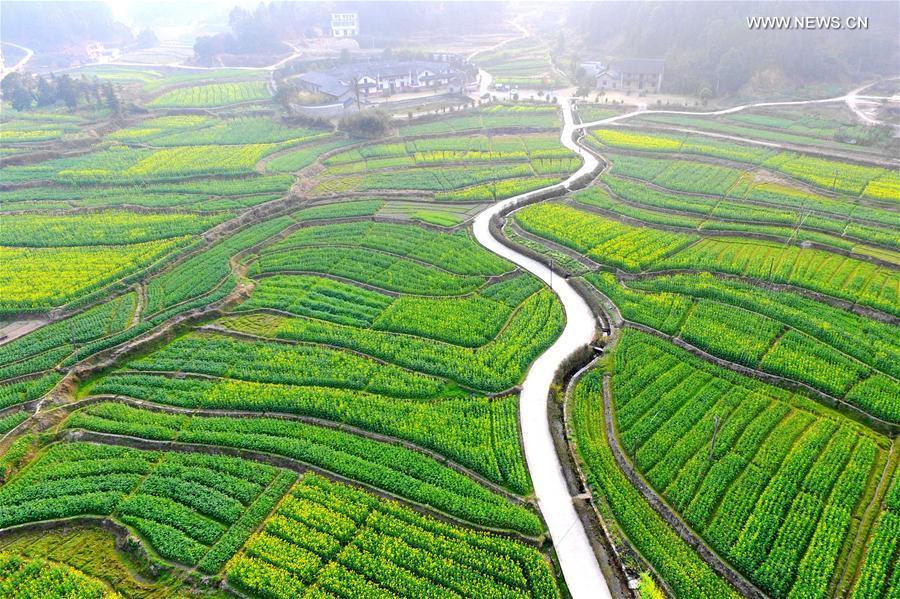 Spring returns to Chinese land as temperature rises in recent days(6/12)