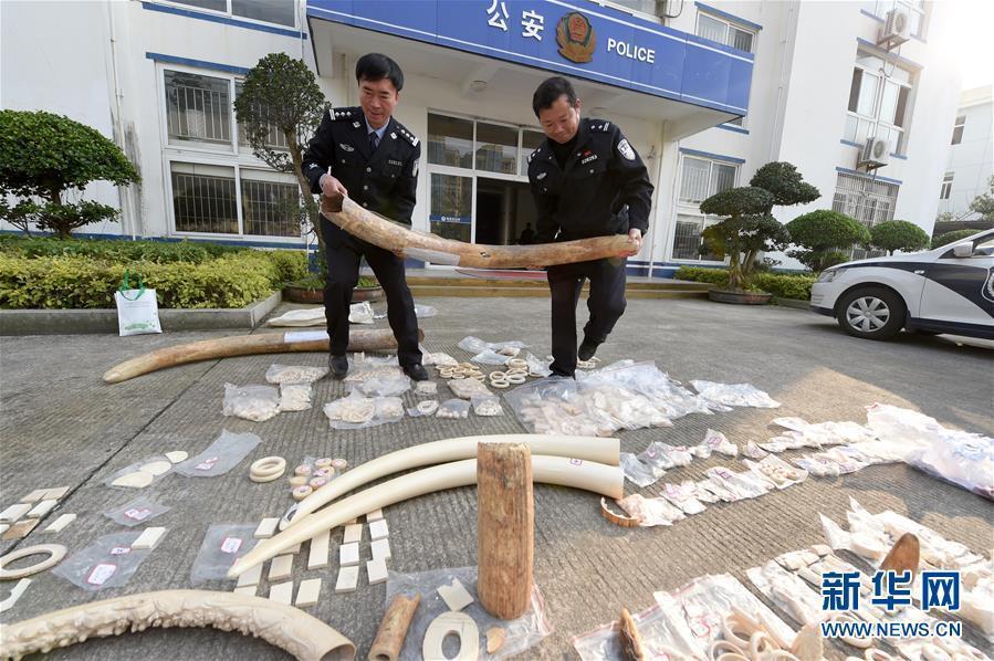61kg of ivory products captured in Fujian(1/4)