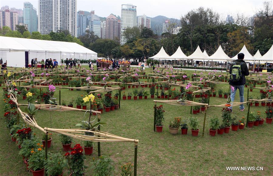 Photo taken on March 9, 2017 shows a flower labyrinth during the preview of the Hong Kong Flower Show at Victoria Park in Hong Kong, south China, March 9, 2017. The flower show will be held from 10 to 19 this March. (Xinhua/Li Peng)
