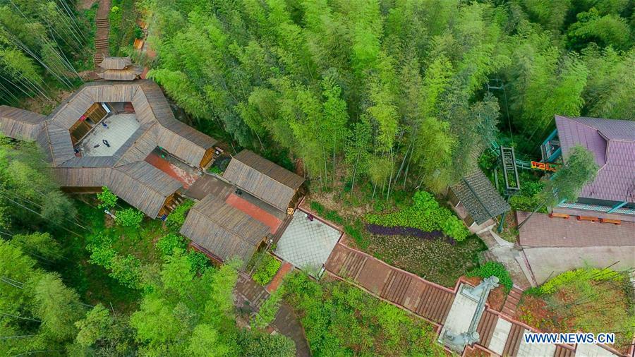 Aerial view of Bamboo Forest Park in SW China(3/5)